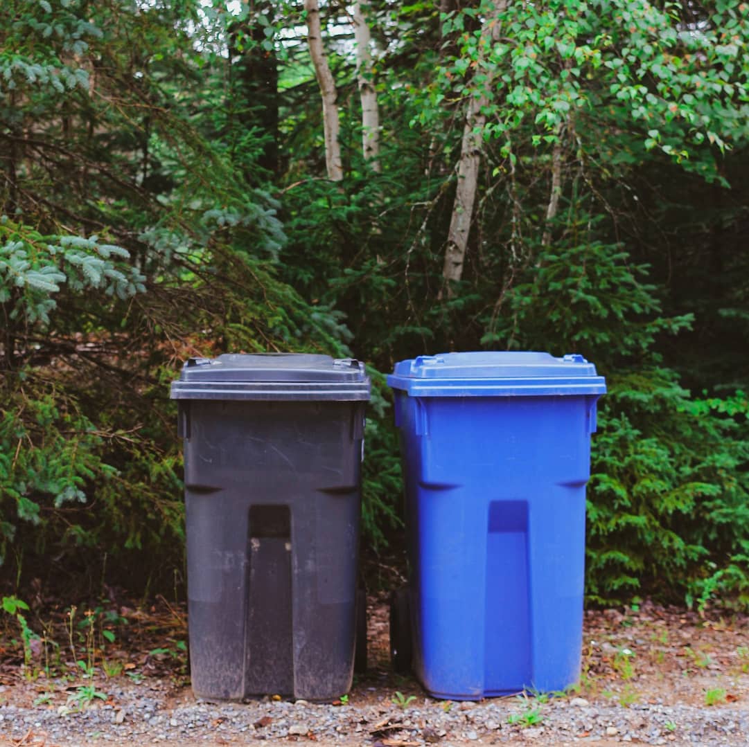 Recycling bins in front of forest trees